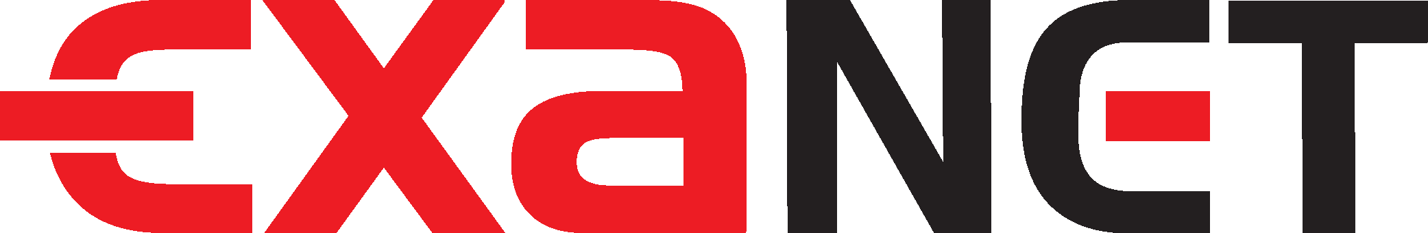 Exanet Logo